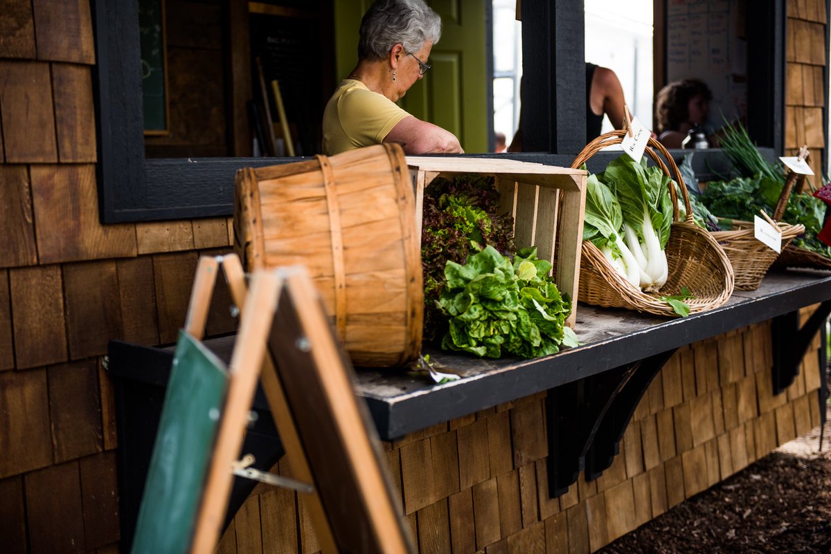 Just a photo of a few veggies to remind you to eat your veggies. Have a nice day!