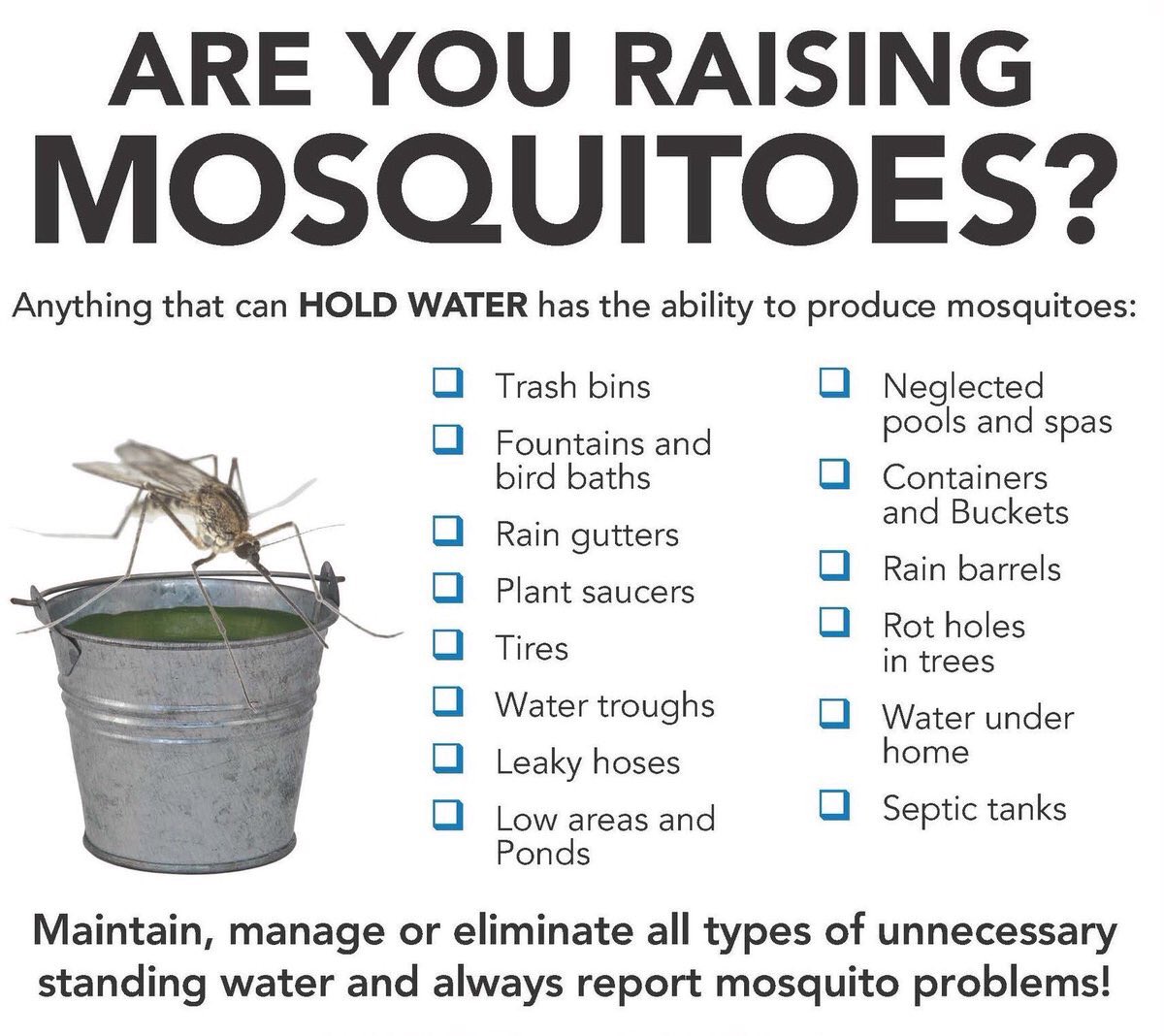 RichmondCity_HD's tweet photo. If it can hold water, it can breed #mosquitoes. Check your yard for standing water. #Zika #WestNile #RVA https://t.co/GuPuO7aQzD