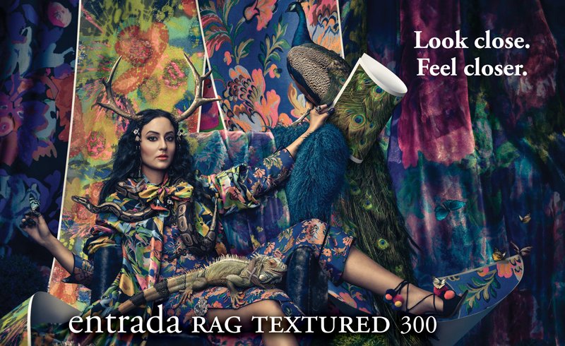 MoabPaper's tweet photo. It's here! The all new Entrada Rag Textured 300. 

Request your free sample: https://t.co/95zaym0IXO

#MoabPaper #EntradaRagTextured https://t.co/IsEzrSxPxj