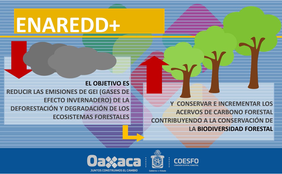 La Estrategia Nacional de México para REDD+ (ENAREDD+) busca el manejo sustentable de tierras y el uso adecuado de los recursos forestales.