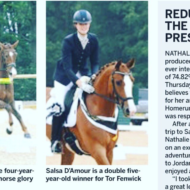 Tor Fenwick Dressage tweet media