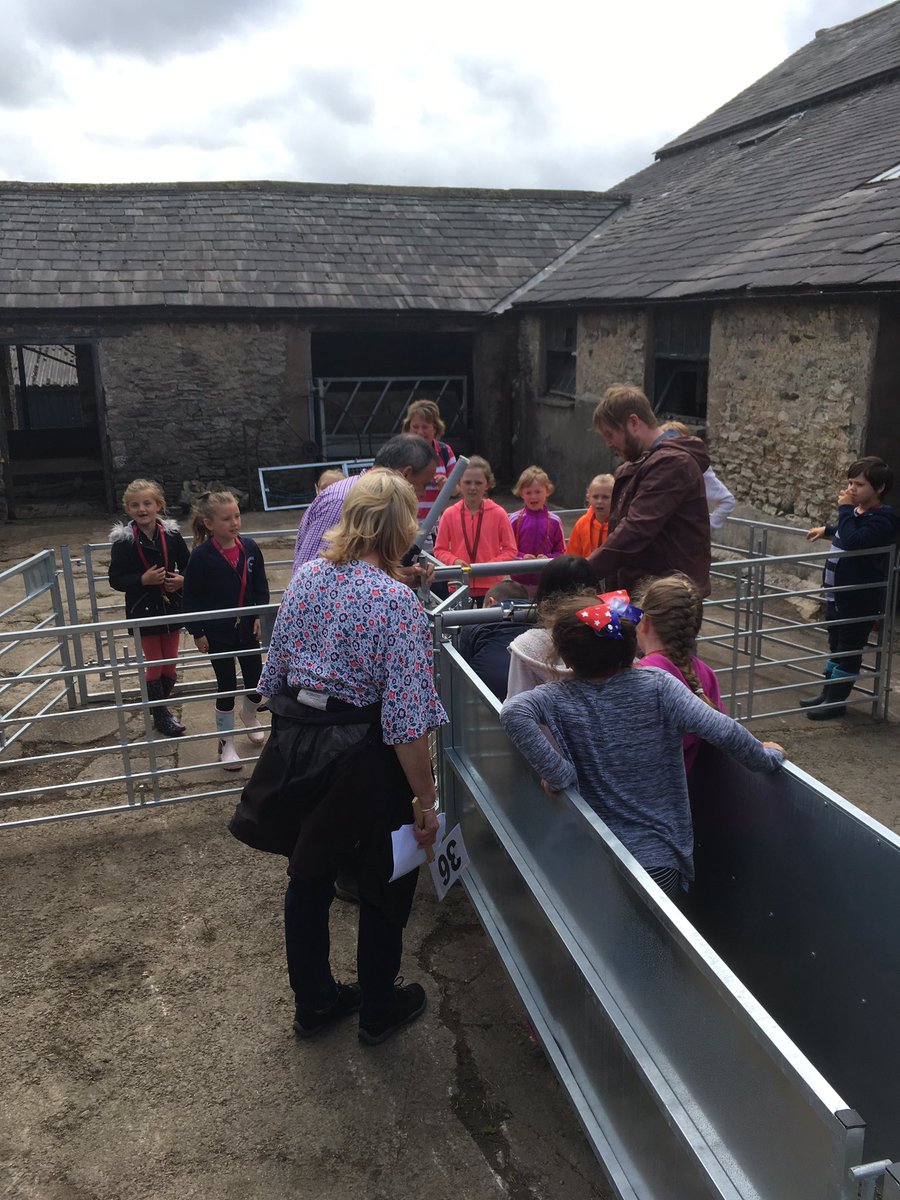 will_case's tweet photo. 850 school children tagged, educated and put through the pens. Not a bad days work... https://t.co/HGFllukmAR