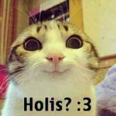 Fernandaoia's tweet photo. https://t.co/99N3lw5Z0m