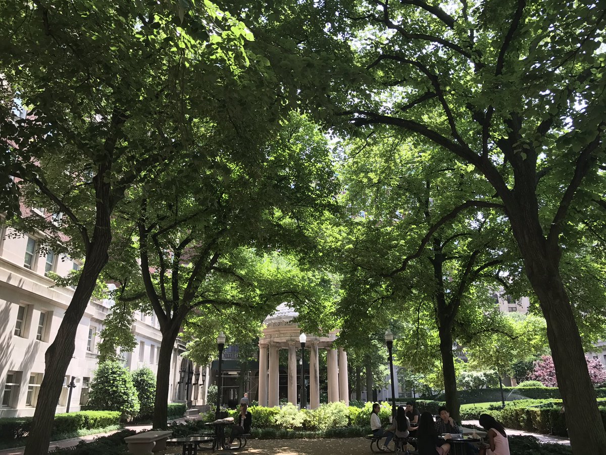 Celebrating #NaturePhotographyDay by capturing the beauty on our campus ☀️🍃🌸#ccstateofmind