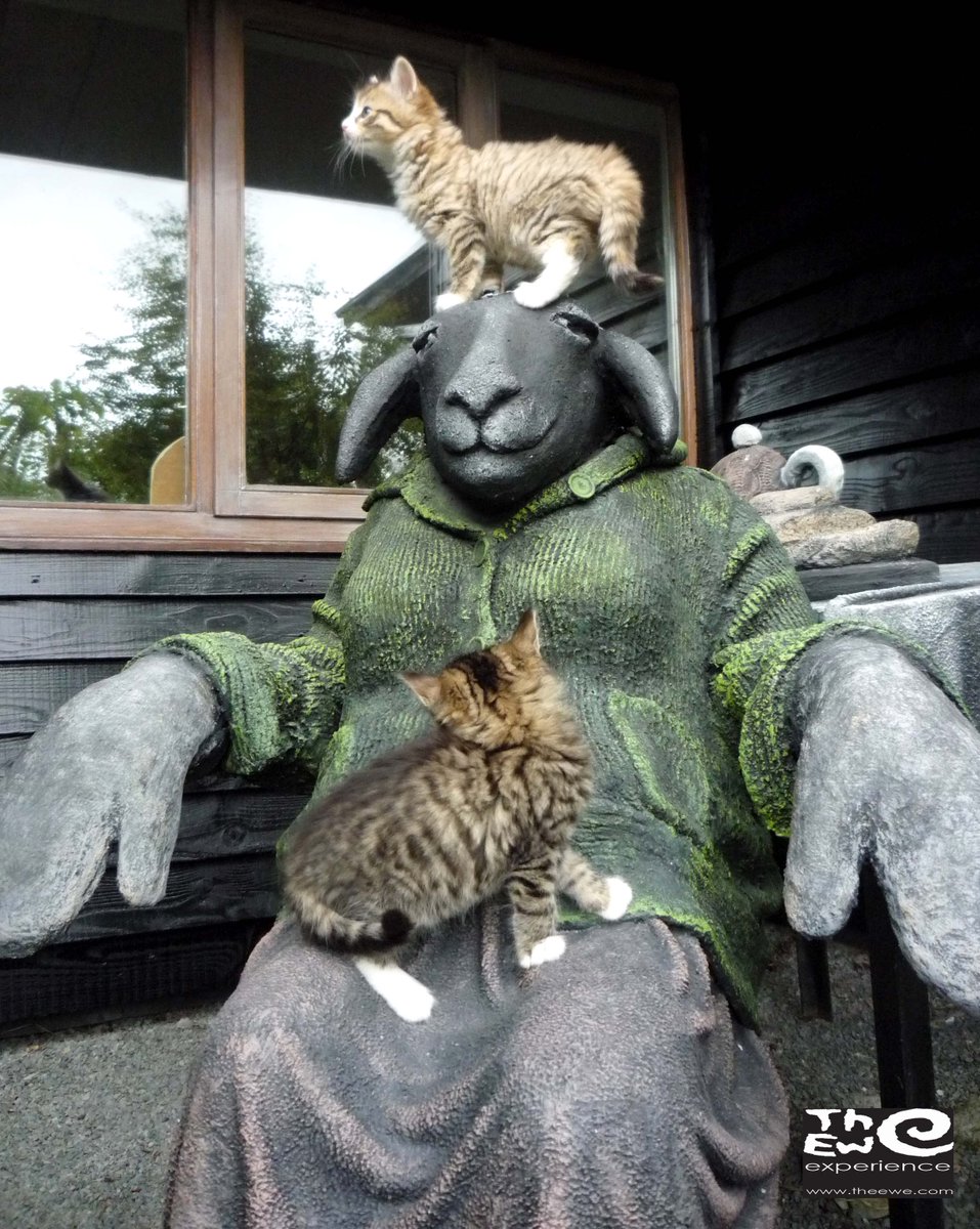 theewexperience's tweet photo. MUST SEE! https://t.co/wpTWV32uiF on @RTENationwide FRIDAY #interactivegardens @discoverirl @TourismIreland @JimDowlingTrad @GlengarriffWood https://t.co/aI7ySHYkpy