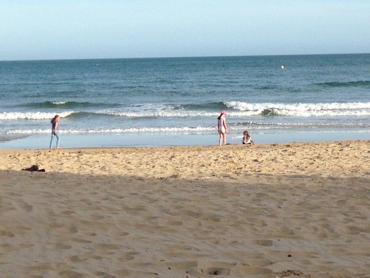 diversityPPS's tweet photo. Final beach photos; see you all tomorrow! https://t.co/8lHE1su8rY