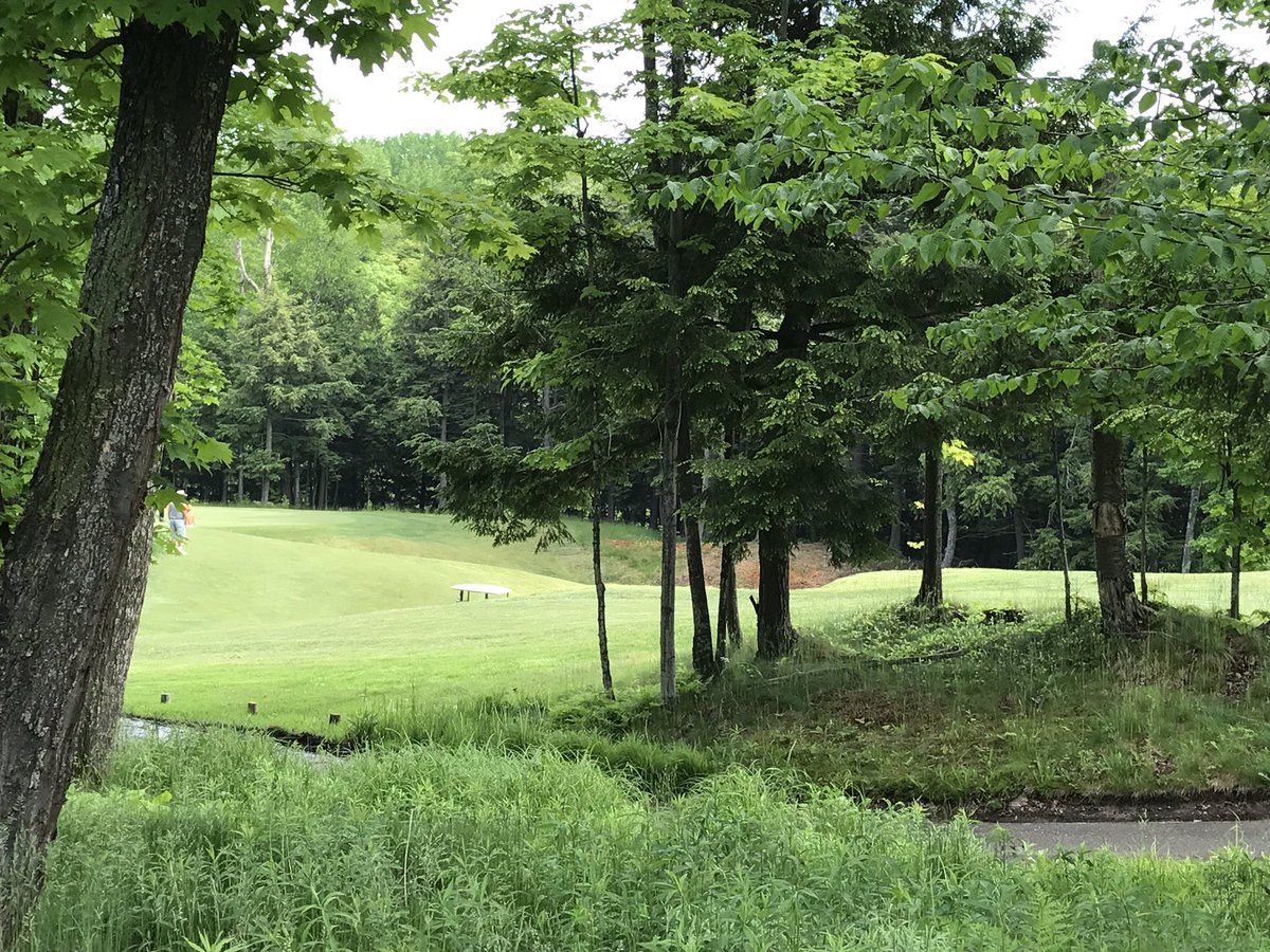 MarquetteGolf's tweet photo. I guess they didn't see the sign or the pegs?? #NoDriveZone @grumpysuper https://t.co/bGhu0FhBAt