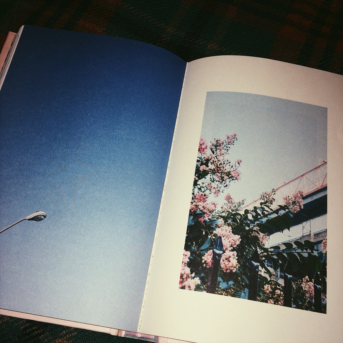 KeriStyle's tweet image. God, this is just lovely. 😻 It's so emotional book that the shivers run down my body. Thank you @connorfranta for this masterpiece ❤️