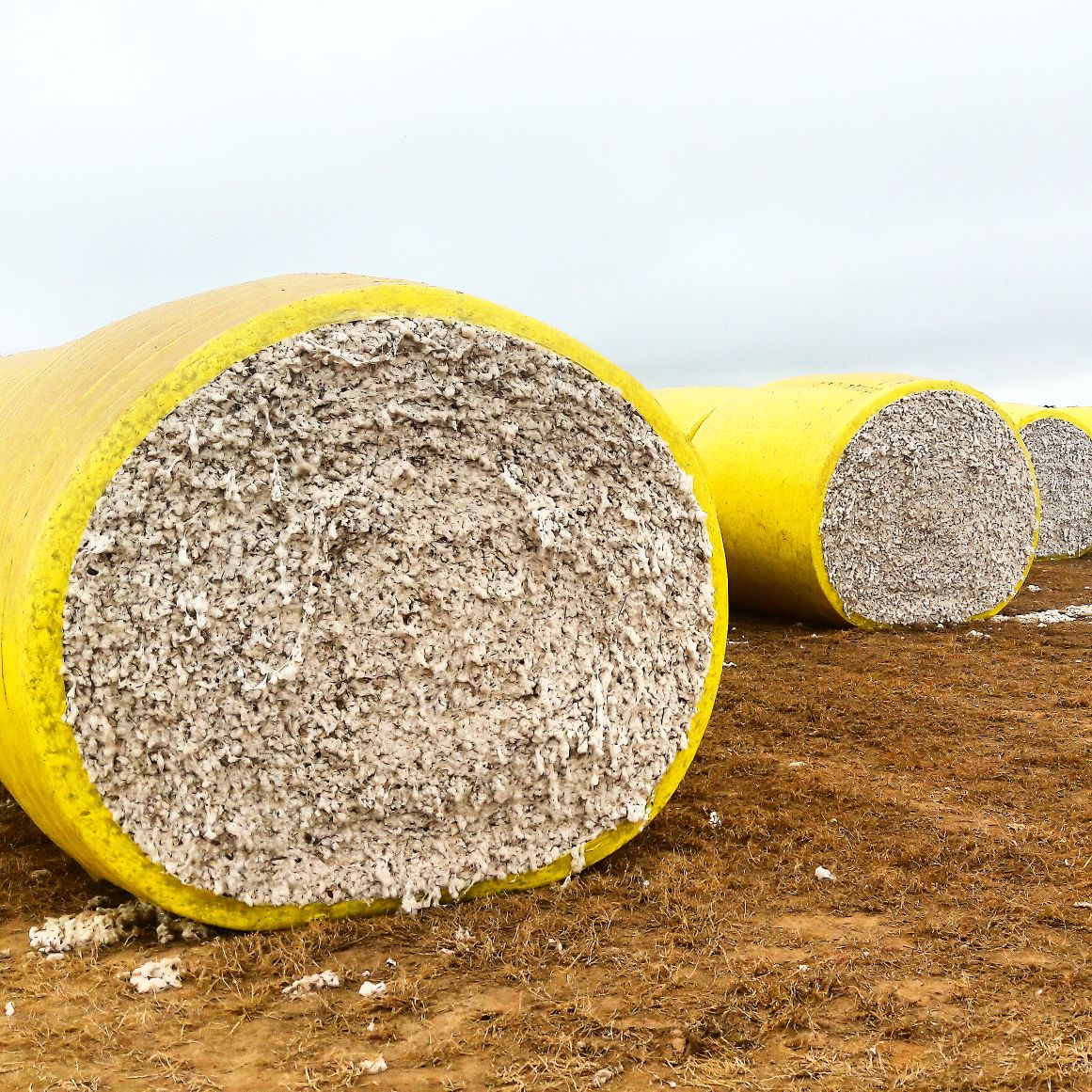 nicolasgarrido's tweet photo. #SeedCotton #RoundModule from our LDC #Ginning plant in #Quimili #Argentina @MaiteOtegui @WeAreLDC https://t.co/hoTTqwIFhW