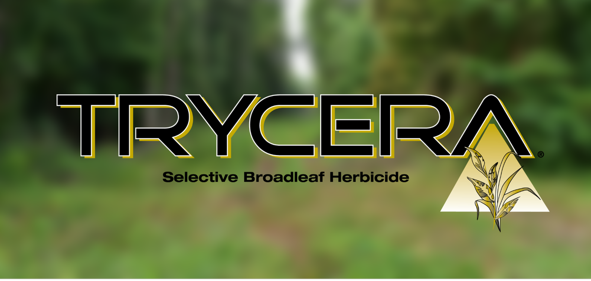 HelenaSpecialty's tweet photo. #TrustHelena's #Trycera herbicide offers low odor and low volatility applications for sensitive areas.
Details | https://t.co/la33qfTshK https://t.co/sLfwjQnW6S