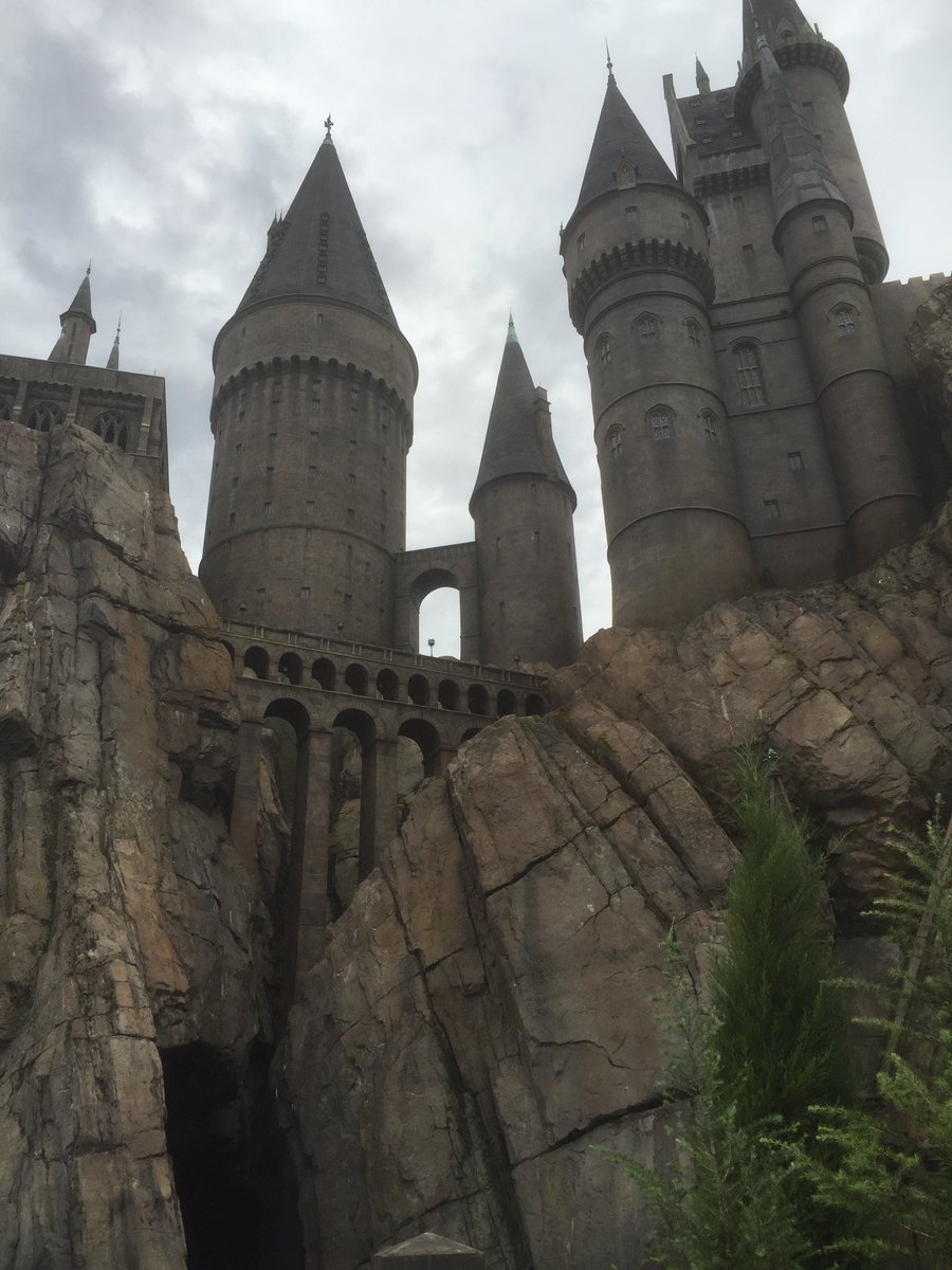 Guy Sandell (@sandell_guy) on Twitter photo 