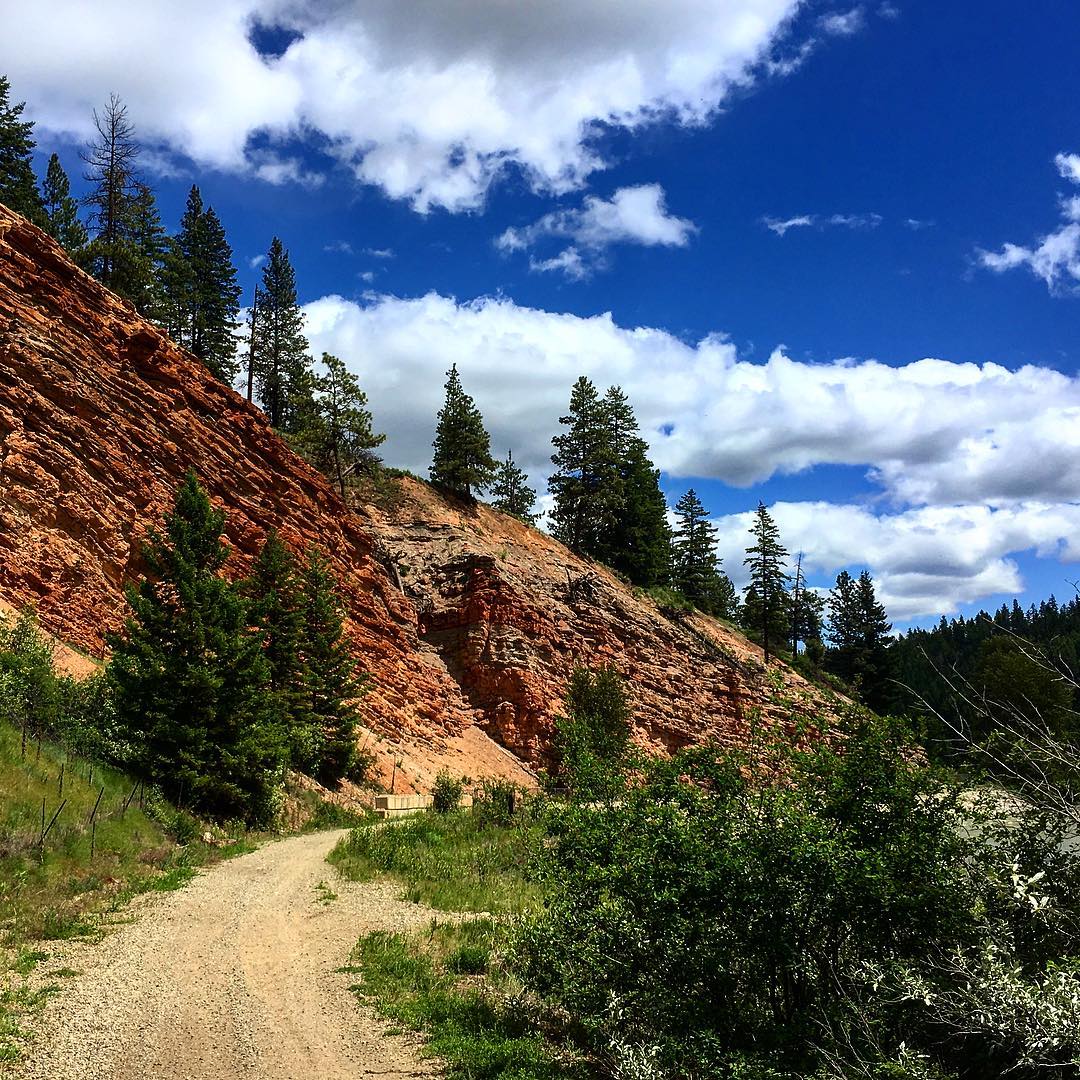 SimilkameenBC's tweet photo. Springtime on the trails👌🏼 https://t.co/JUYfwazEMf
📷: daniel.sandler/IG https://t.co/DS76bTDa3D