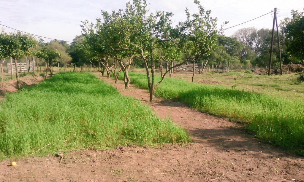 AF_INTA_CTES's tweet image. Agrotécnica Lomas de Empedrado. Reunión y recorrida c Rector para coordinar actividades #PE #ProHuerta #Profeder
