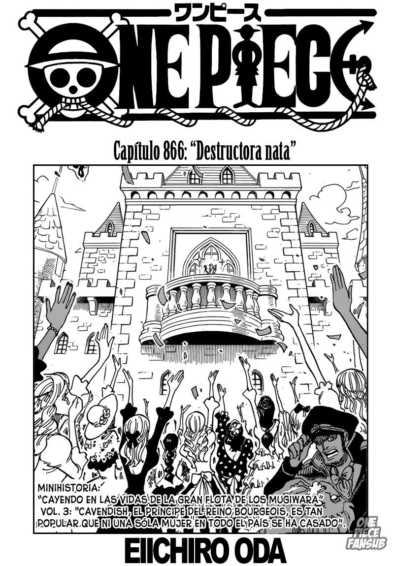 One Piece 866