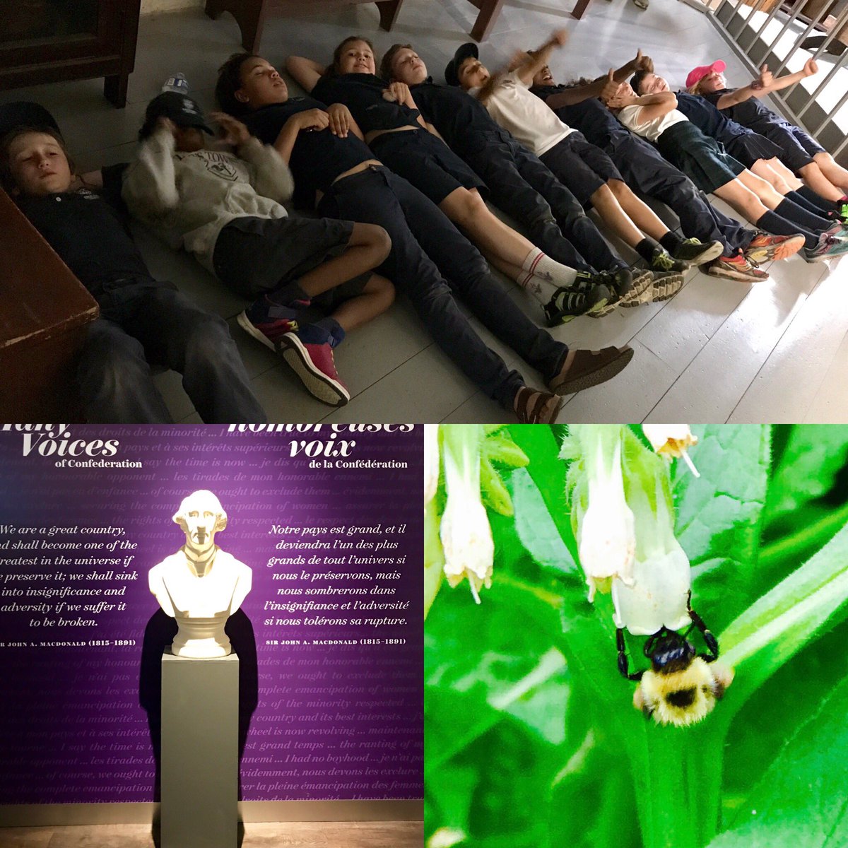KingsTownSchool's tweet photo. Our students had an amazing time today participating in events at #FirstCapitalDay today #ygk #YGKplus #Canada150 https://t.co/4A8dWxS7uP
