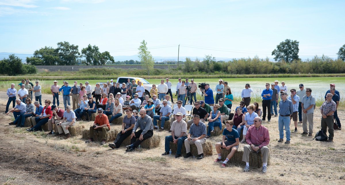 billhusa1's tweet photo. More Photos of Celebrating 20 years #Butte Creek #Salmon Recovery Success @gorrillranch @ChicoER @billhusa1 https://t.co/U0LV2tsucE