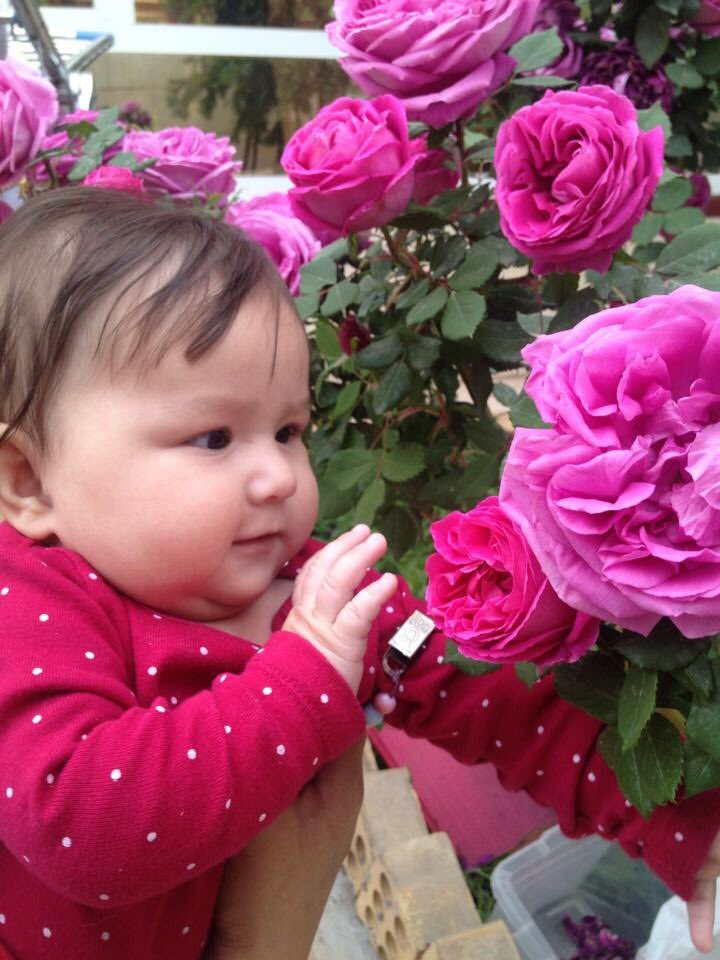 OsmanMhamad5's tweet photo. @sunjj_1 @K___adom111  https://t.co/PGafb4oKws