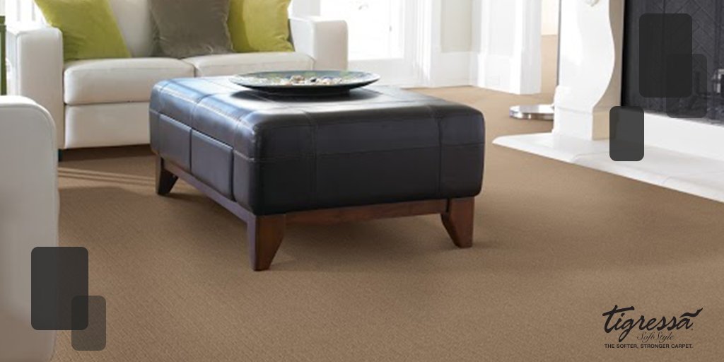 SchenectadyFloo's tweet photo. With our Tigressa Soft Style carpet, your floors can be both soft & sturdy! https://t.co/0yYU4bJPws #LocalNY https://t.co/ocoNPuafbg