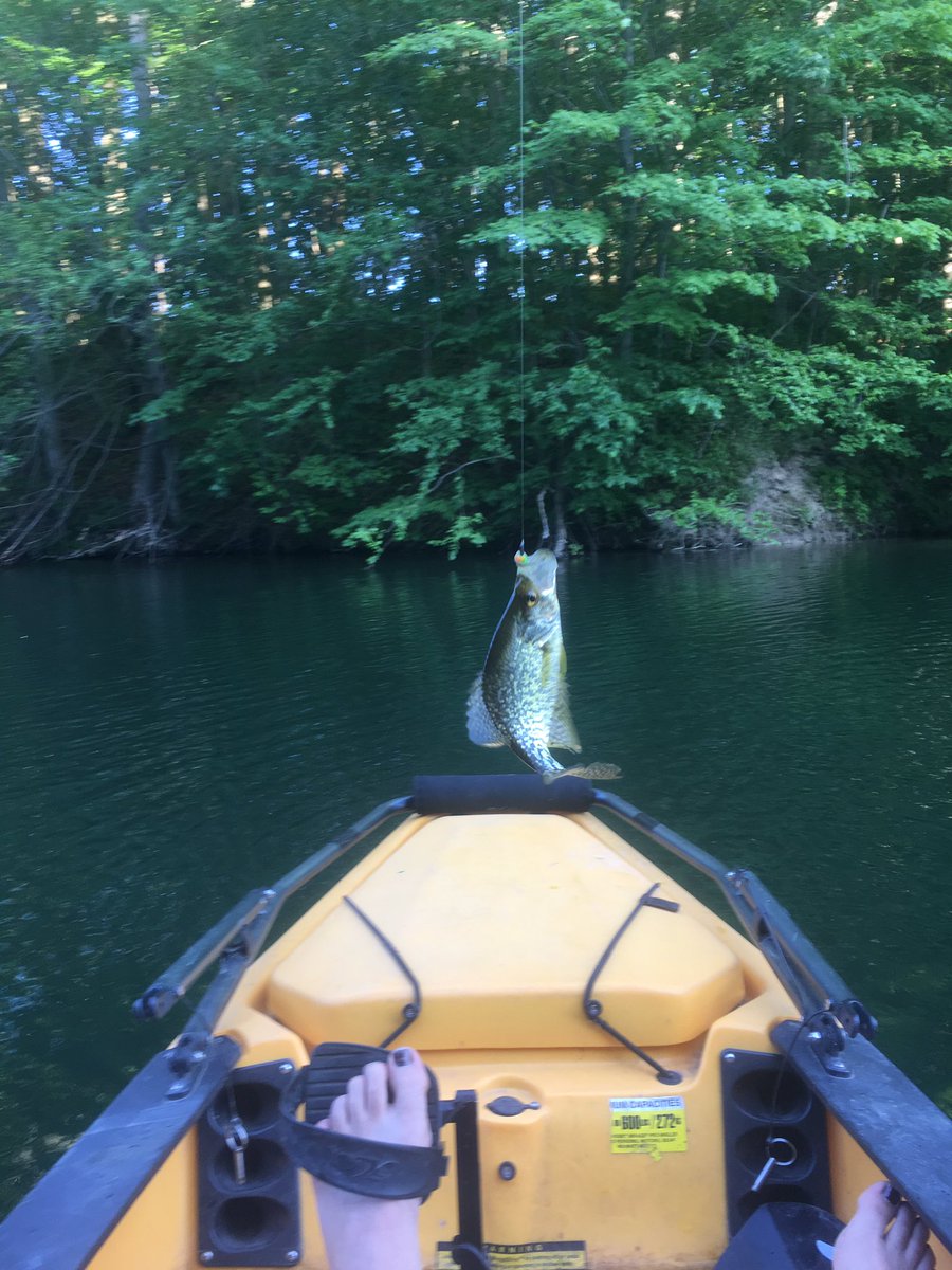 AmelieChanda's tweet photo. This girl caught a fish tonight at the @GoNorfolk1 event and she is pretty happy with it!!! @BAERkayakFishin #AmazingLongPoint ๐ ๐ https://t.co/sT4YZ9afQK