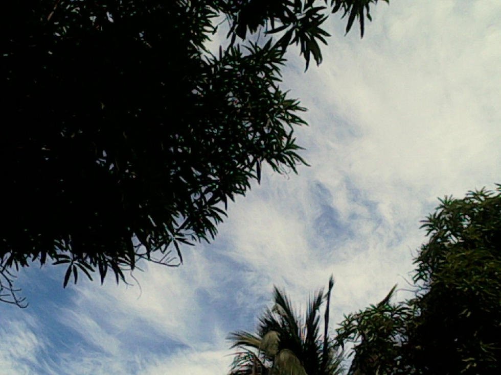 A veces un pedazo de cielo es todo lo que necesitamos para amar y comprender nuestra naturaleza #ReciclaBarranquilla #Colombia