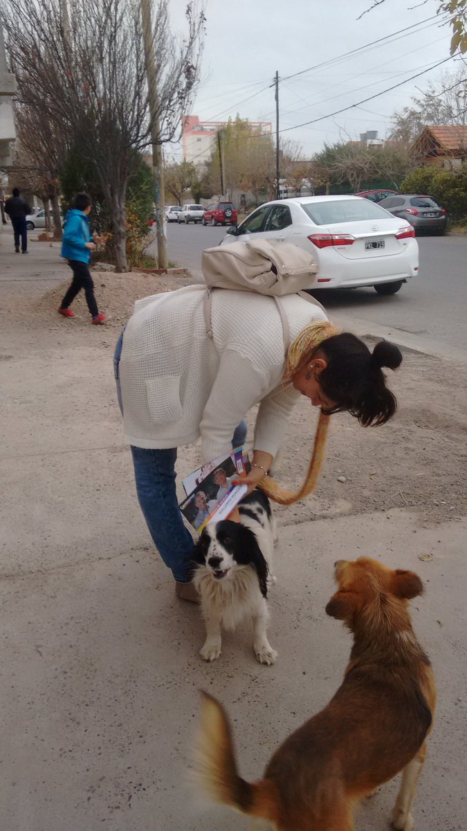 VaaniLara's tweet image. Visitando el Barrio Villa María #Nqn hasta los perros qieren a #David2017 dip.
#DavidEsCambiemos