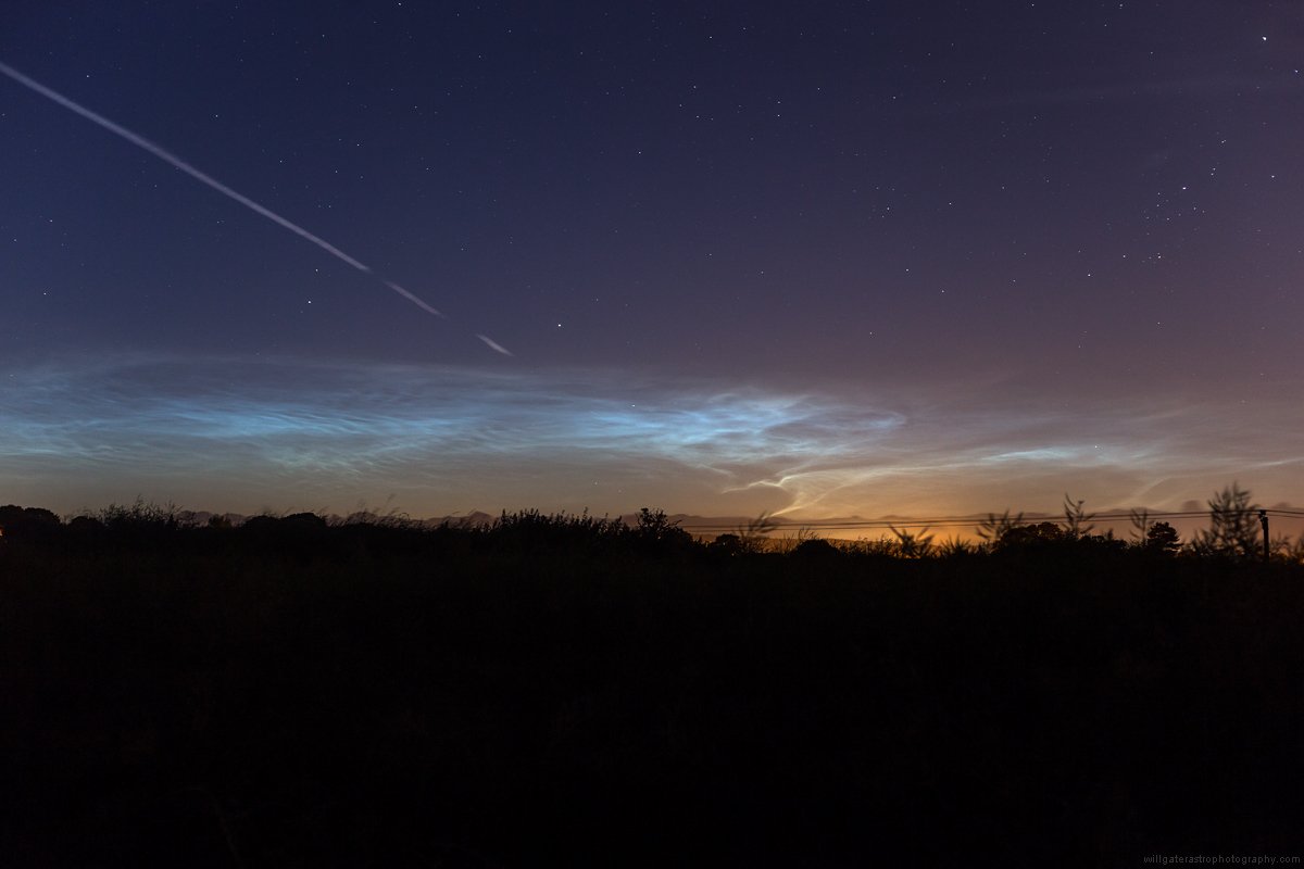 Will Gater tweet media