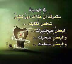 Nour90dz's tweet photo. @dziria_c مساء الورد احلى وردة بحديقة التويتر 
كلامك صح وجميل والله خيركم مايتنسي https://t.co/ZvwmUr58bi