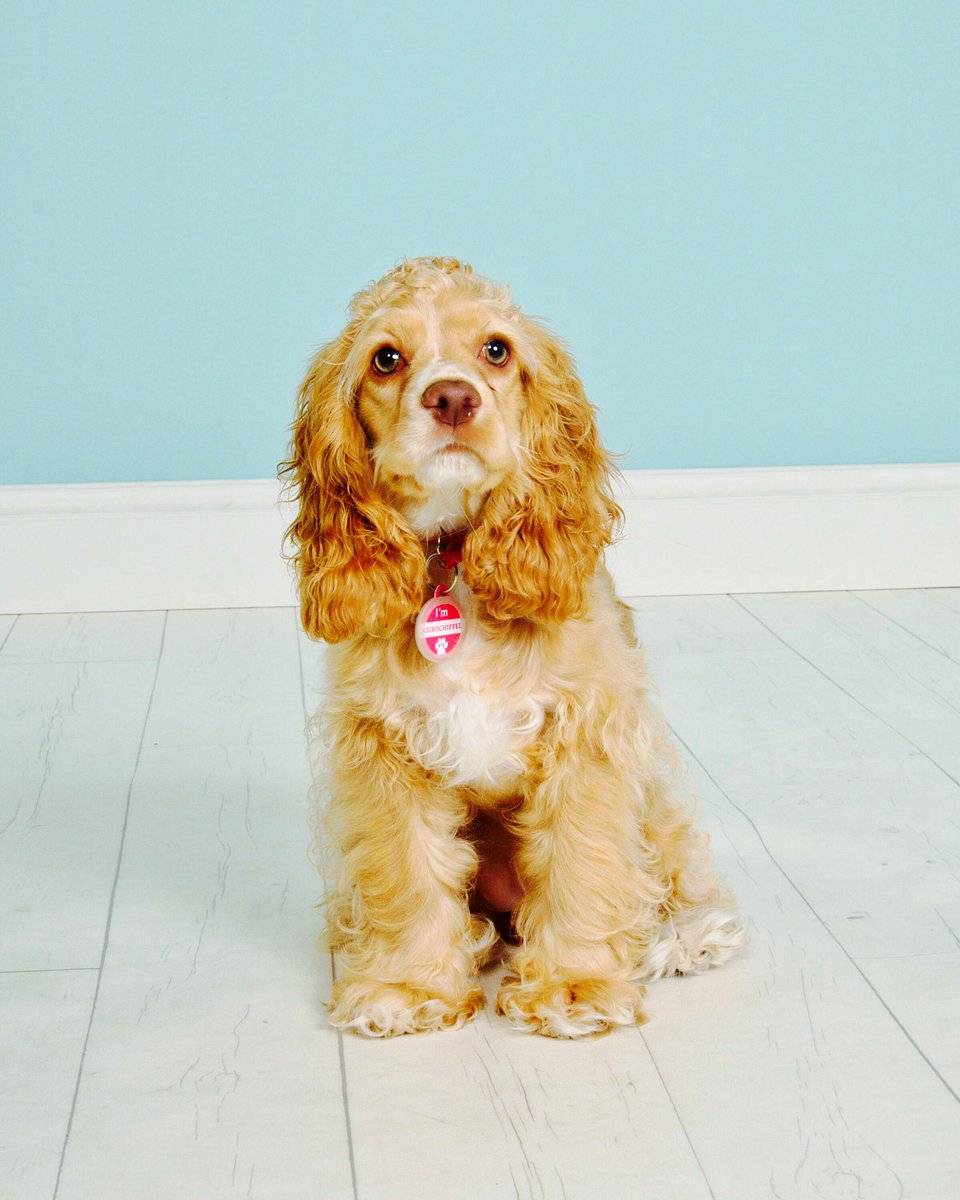 My baby girl! ❤️