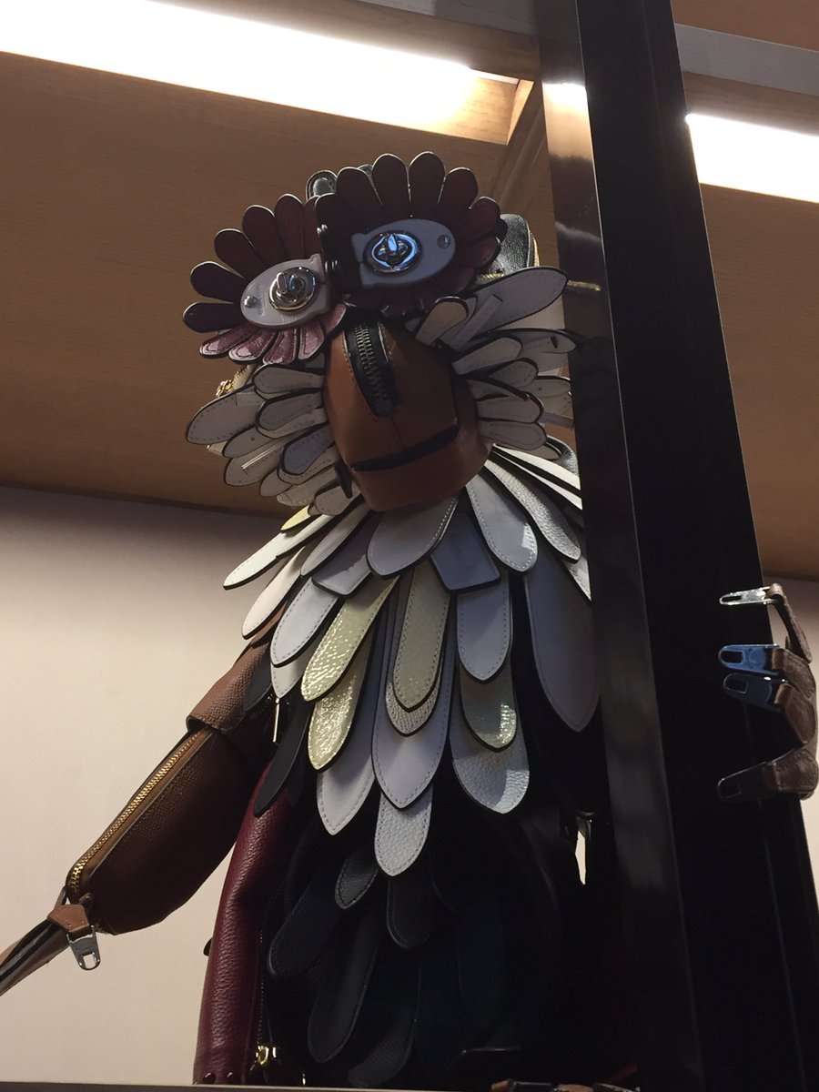 Funky monkey <a href="/Coach/">Coach</a> great work