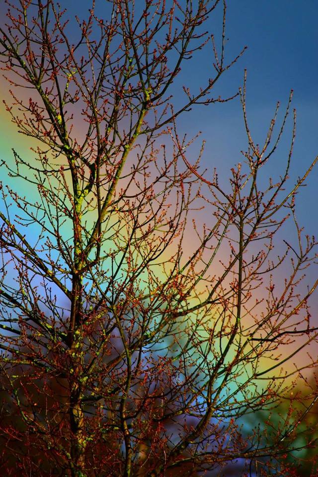 Mooiste foto van NL tweet media