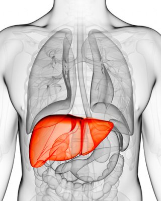 EuropHospital_D's tweet image. #Lebern aus dem #Labor ahmen natürliche #Entwicklungsabläufe nach - wie entwickeln sich Zellen in #Lebergewebe?
ow.ly/BRCY30cNGzo