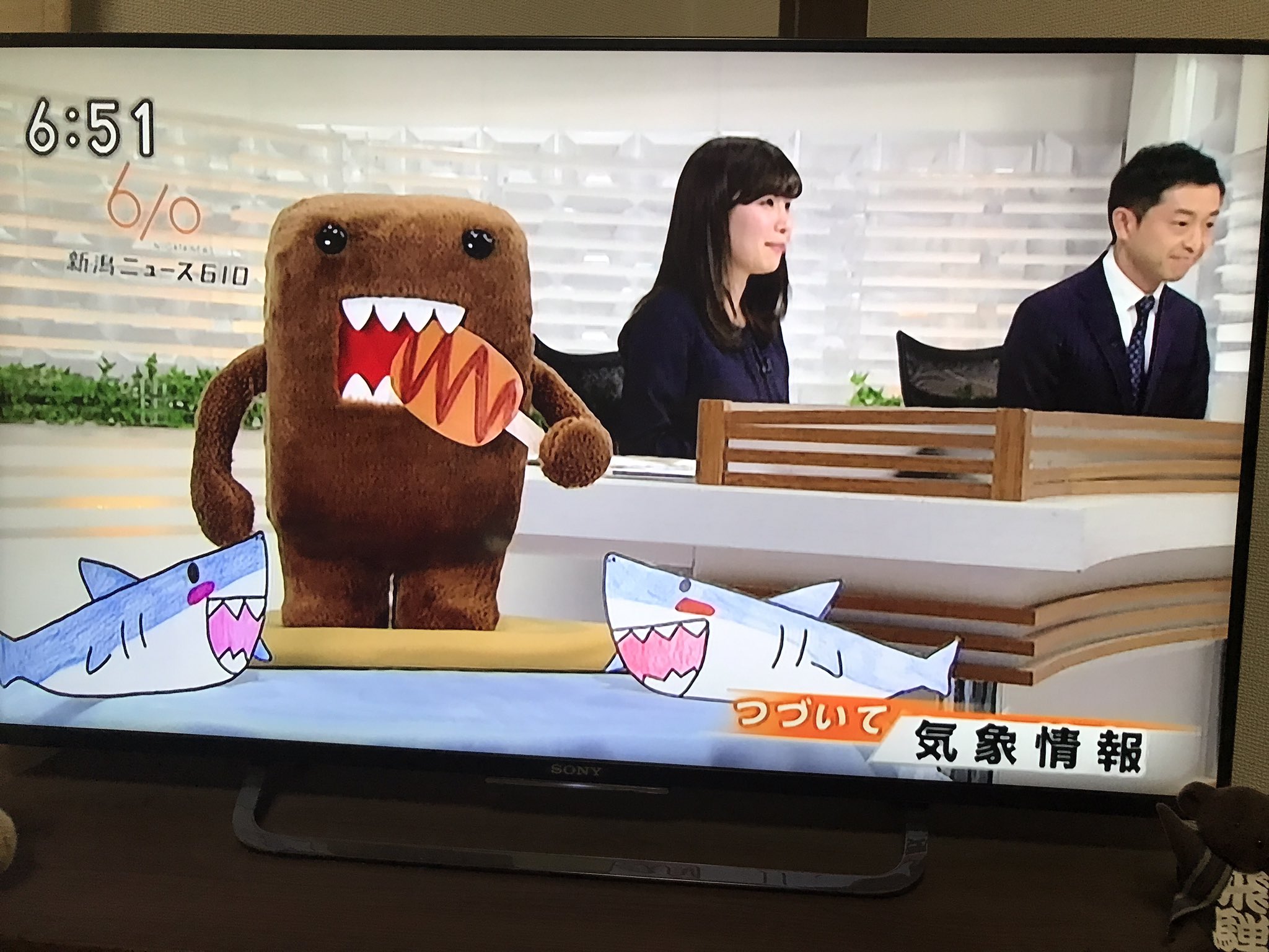 いべまり 郷土料理研究家 On Twitter Nhk610のケーブルだよりで 一昨日のサメ食ニュースが流れました ラスト アナウンサーさんたちの サメカツ食べてみたいですね のとこで映ってたどーもくんのサメ串と手描きぽいサメのイラストに萌えた かわゆ