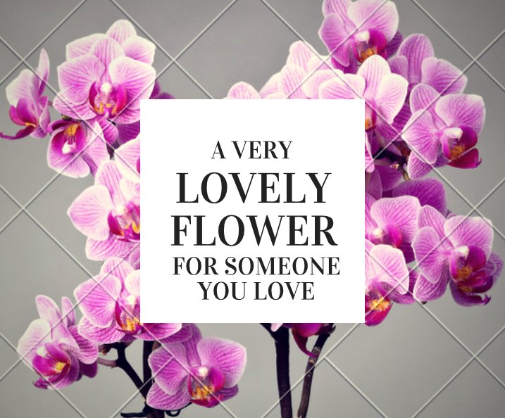 AMOREX_Team's tweet photo. Güte in den Worten erzeugt Vertrauen,
Güte beim Denken erzeugt Tiefe,
Güte beim Verschenken erzeugt Liebe.
(Lao-Tse) https://t.co/3cppWpMbvb