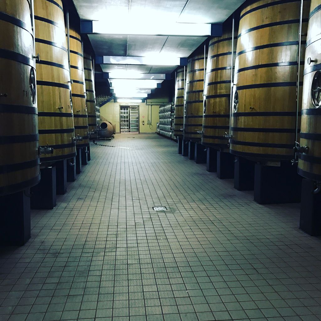 Where the magic happens.. #wine #winelovers #winery #spain #Ribeiro #lovewine