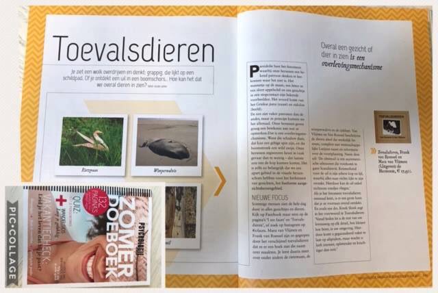 Toevalsdieren tweet media