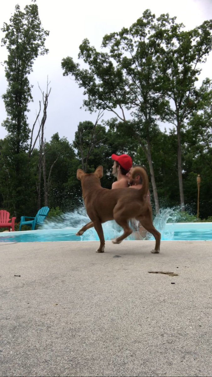 EthanKingDiary's tweet photo. I had to throw him in the pool to rinse him off when I was done with him. #tighthole #BBBH https://t.co/HyTKsaIu40