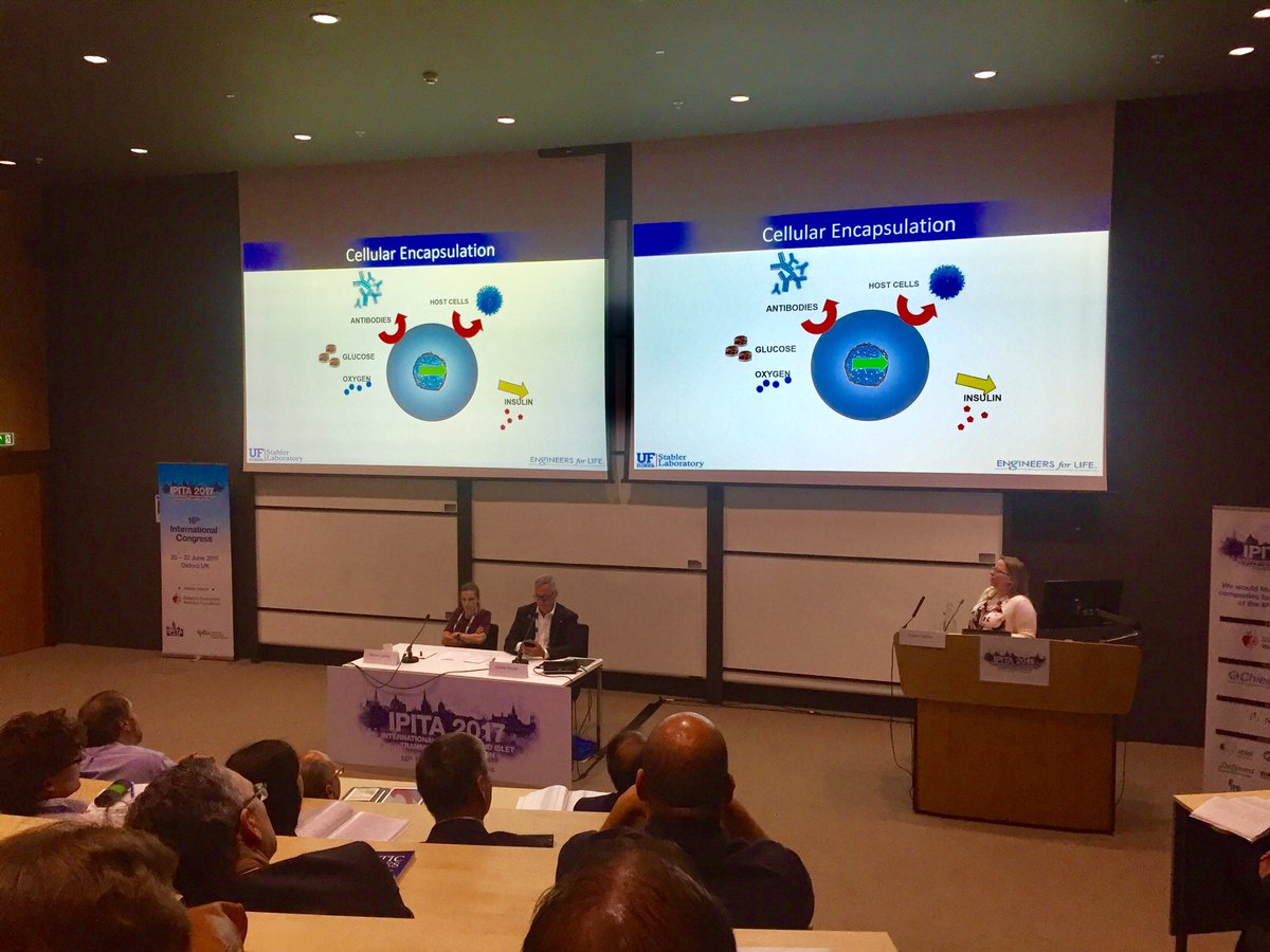 IPITA_YIC's tweet photo. Islet encapsulation by @Cherie_Stabler, room L2 @ipita2017 #Oxford 
#ipita #islettransplantation #diabetes #islet #pancreas https://t.co/vQpoGZd2no