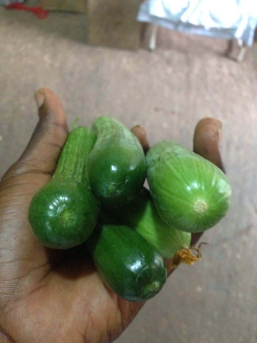 kev_tix's tweet photo. Carefully monitored from production to first harvest#greenhousegrown#qualityveggies#veganfood#agriculture#farming#farmer# https://t.co/MTQTOsL64i