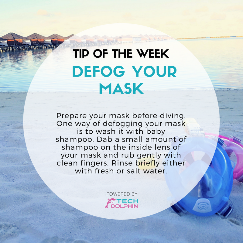 TechDolphinUS's tweet photo. TIP OF THE WEEK - Defog๐
#snorkelingtips #defogmask #snorkeling #sealife #underwateradventure #fullfacesnorkelingmask #techdolphin https://t.co/zTuZqrtNJm