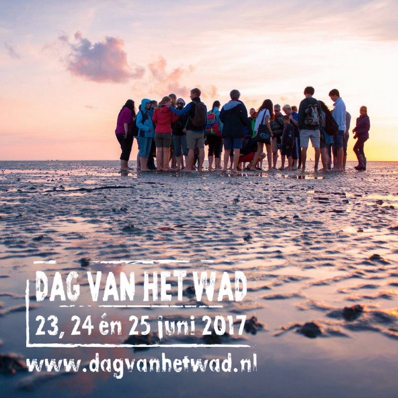 RVO_Nederland's tweet photo. 23-25 juni #dagvanhetwad, of ehh #weekendvanhetwad. Wist je dat #waddeneilanden #innovatie versterken? https://t.co/kwAmVIczH4 #NLInnovatief https://t.co/tea6yYX7it
