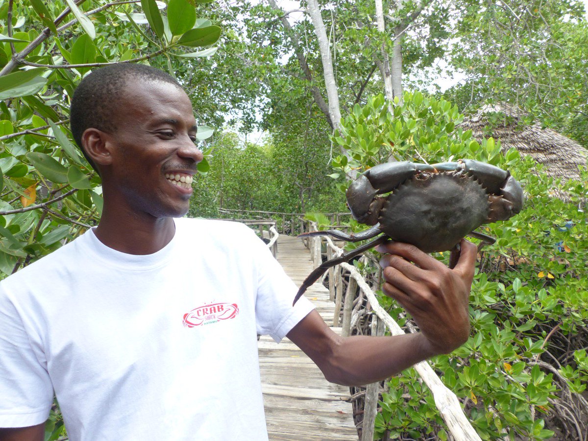 WatamuMarine's tweet photo. @magicalkenya #crabshack #Watamu #Kenya #Communities4Conservation memories @whthome @CharlieBeau @judygona @SmritiVidyarthi @susanluckywong https://t.co/4PLaMzMsgh