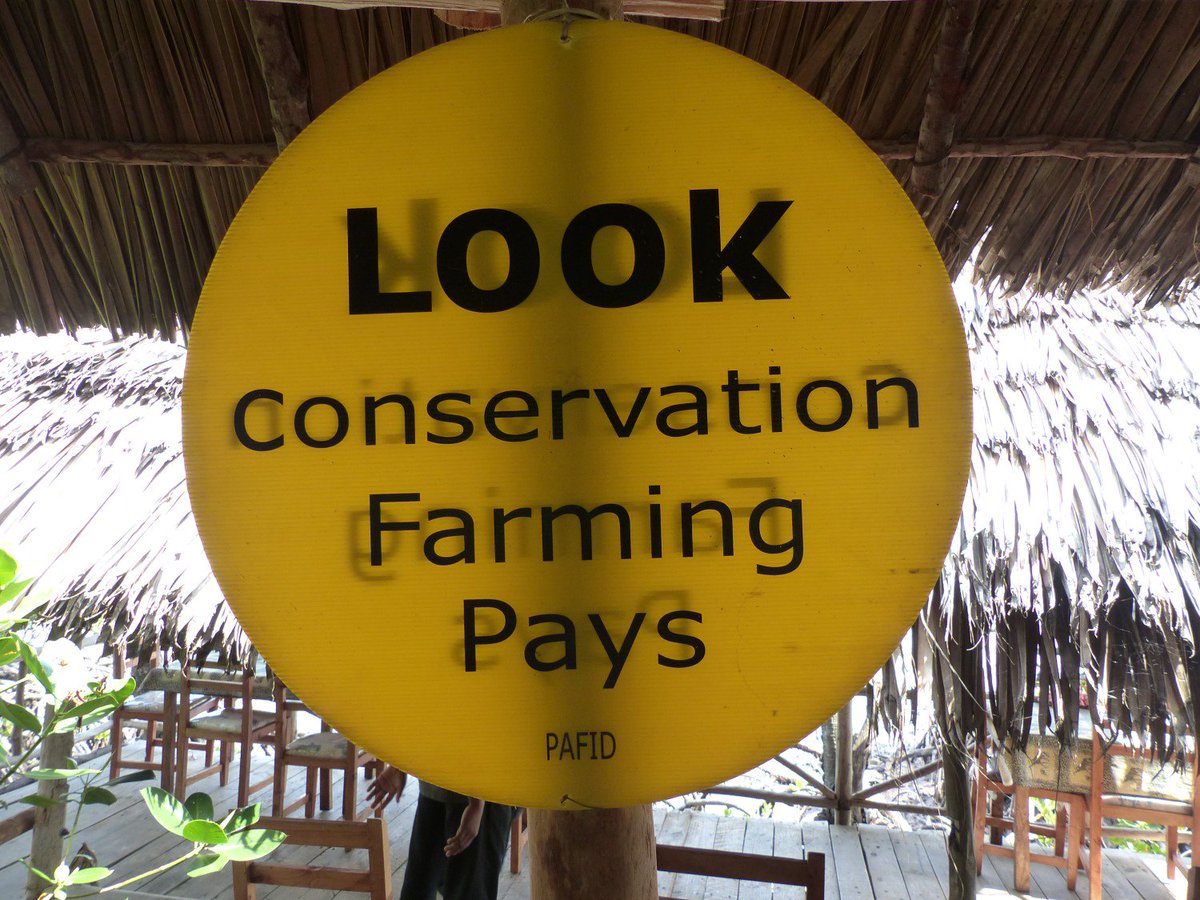 WatamuMarine's tweet photo. @magicalkenya #crabshack #Watamu #Kenya #Communities4Conservation memories @whthome @CharlieBeau @judygona @SmritiVidyarthi @susanluckywong https://t.co/4PLaMzMsgh