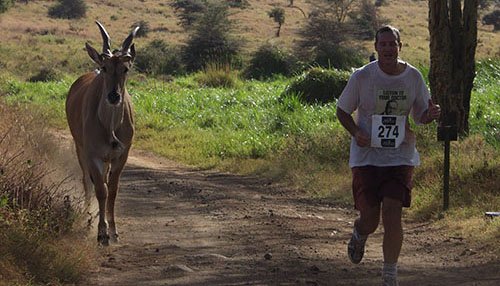wildlifedirect's tweet photo. .@RunWild_Kenya 2017: 1 Day to go!
Sign up & Learn more at https://t.co/4umUXxDLOM #YouRunIWin #LewaMarathon https://t.co/UMiRW8NlBu