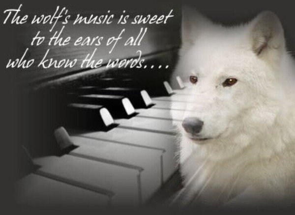 KaalGroup's tweet photo. @Iha_Skuye @rotrujo @28e5428febd7466 #FF Bonjour, Good Morning, Hinhanni was'te #PackMembers - singing to you
Blessings and prayers - #WolfSpirits are with us https://t.co/kmuztcEtpc