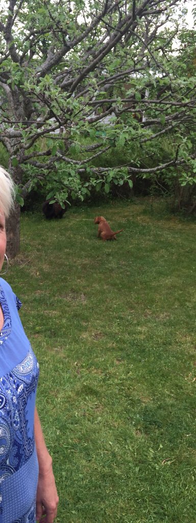 InTheZquad's tweet image. My dad was going to take a picture of my mom and this was in the back