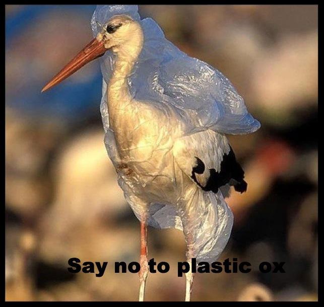 Last Chance - "Garage" Sale! conta.cc/2tVDmwi