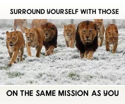 Melissa Proctor tweet media