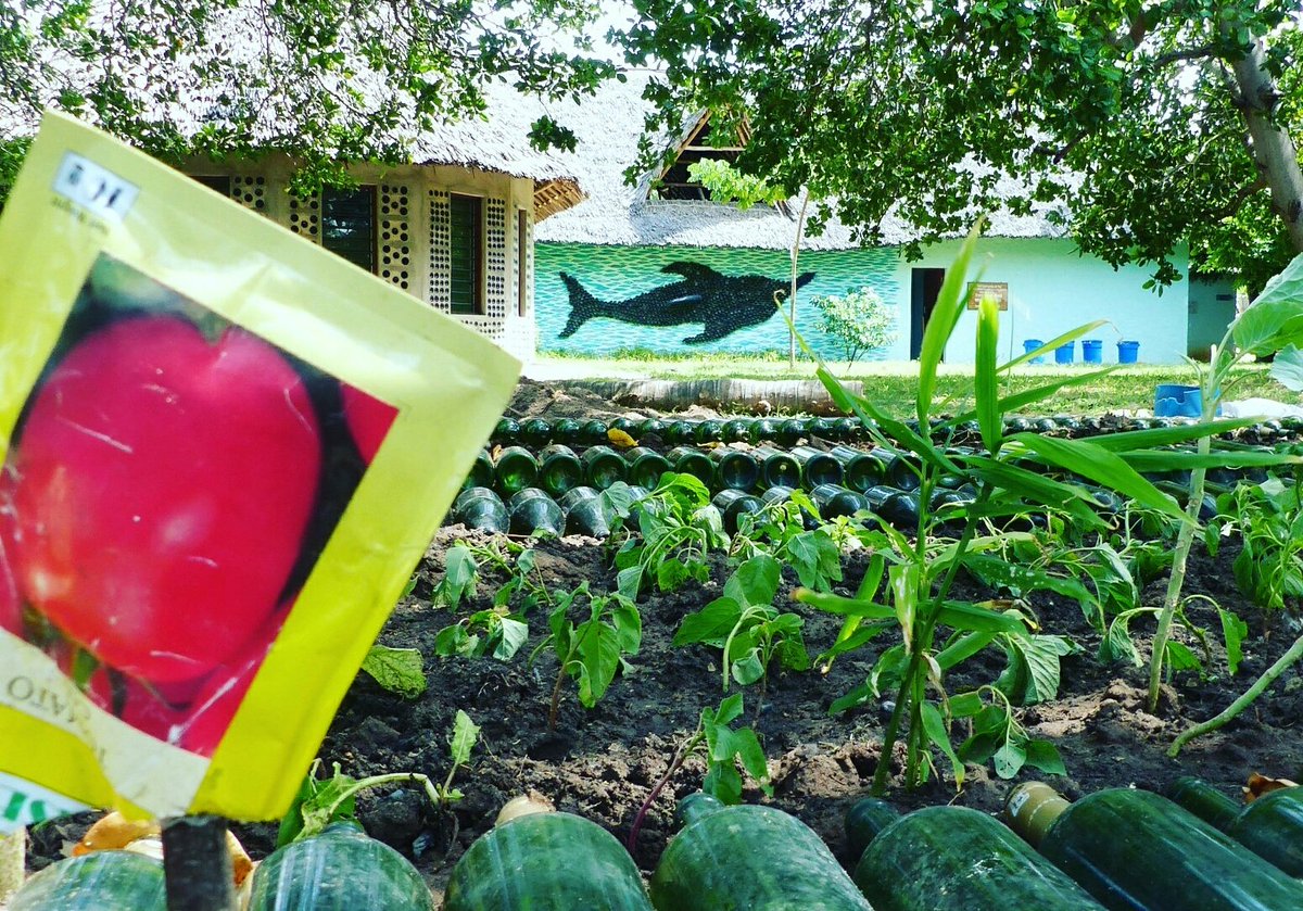 WatamuMarine's tweet photo. #EcoWorldWatamu #permaculture #plantpowered much more than #recycling with @magicalkenya celebrating #Communities4Conservation #greening https://t.co/Fi4rVWejue