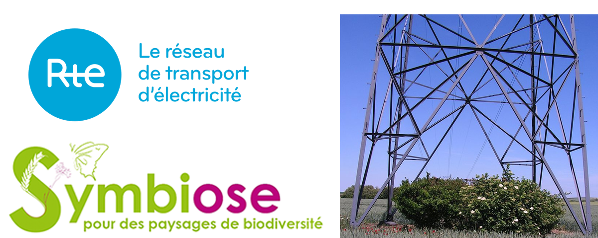 RTE_Est's tweet photo. Aménagements paysagers des pylônes de la ligne #électrique Reims Charleville Mézières : une collaboration réussie avec @Symbiose_Reims https://t.co/SjymBkWYQE