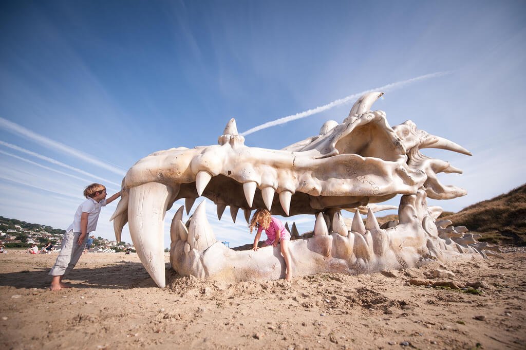 есть драконы на земле. есть драконы на земле. череп дракона на пляже игра престолов. дракон живой. дракоэен в реальной жизни.